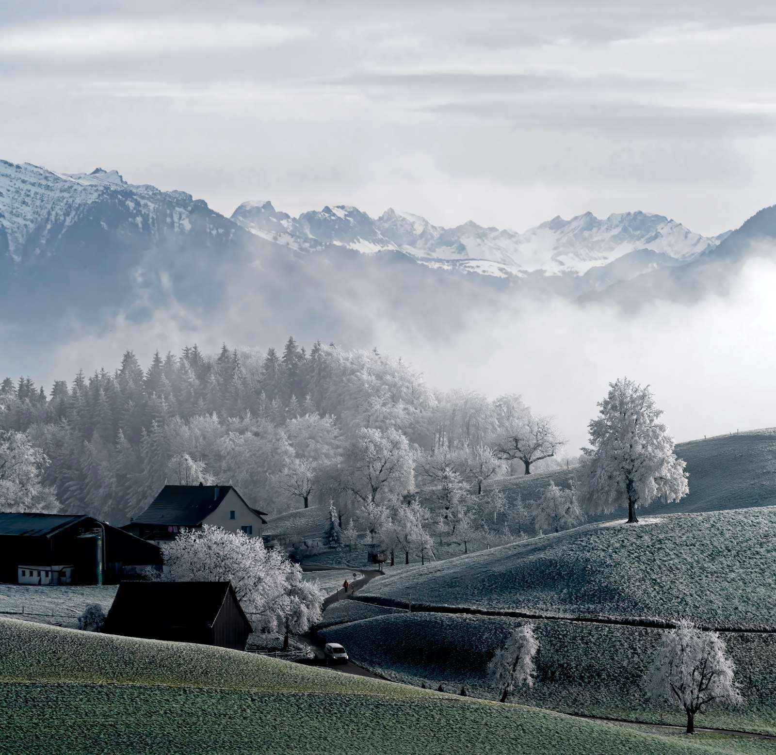 Sony a7R IV + Sony FE 70-200mm F4 G OSS sample photo. Trees beside snow capped photography