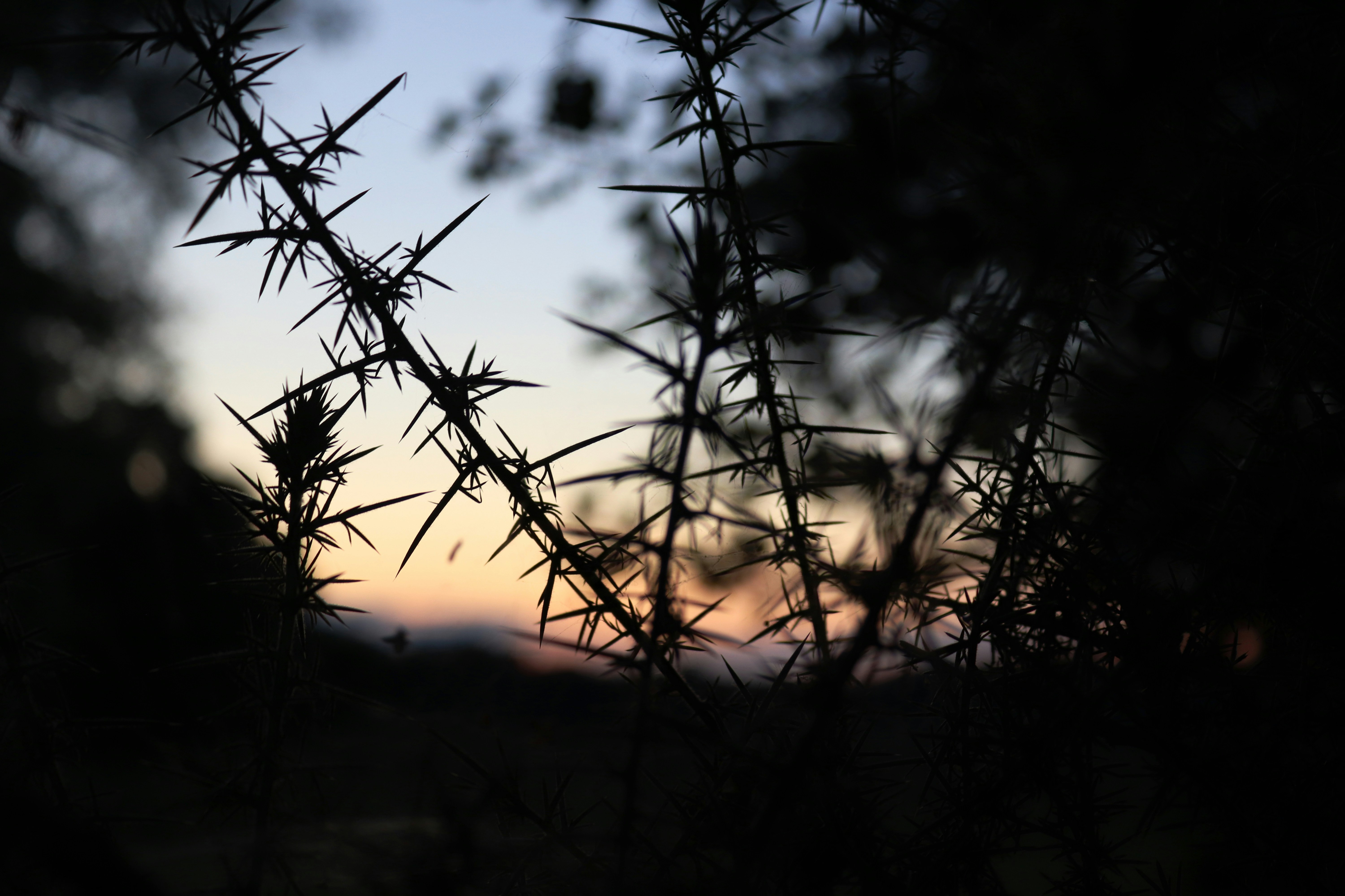 Photo by danmakesgames