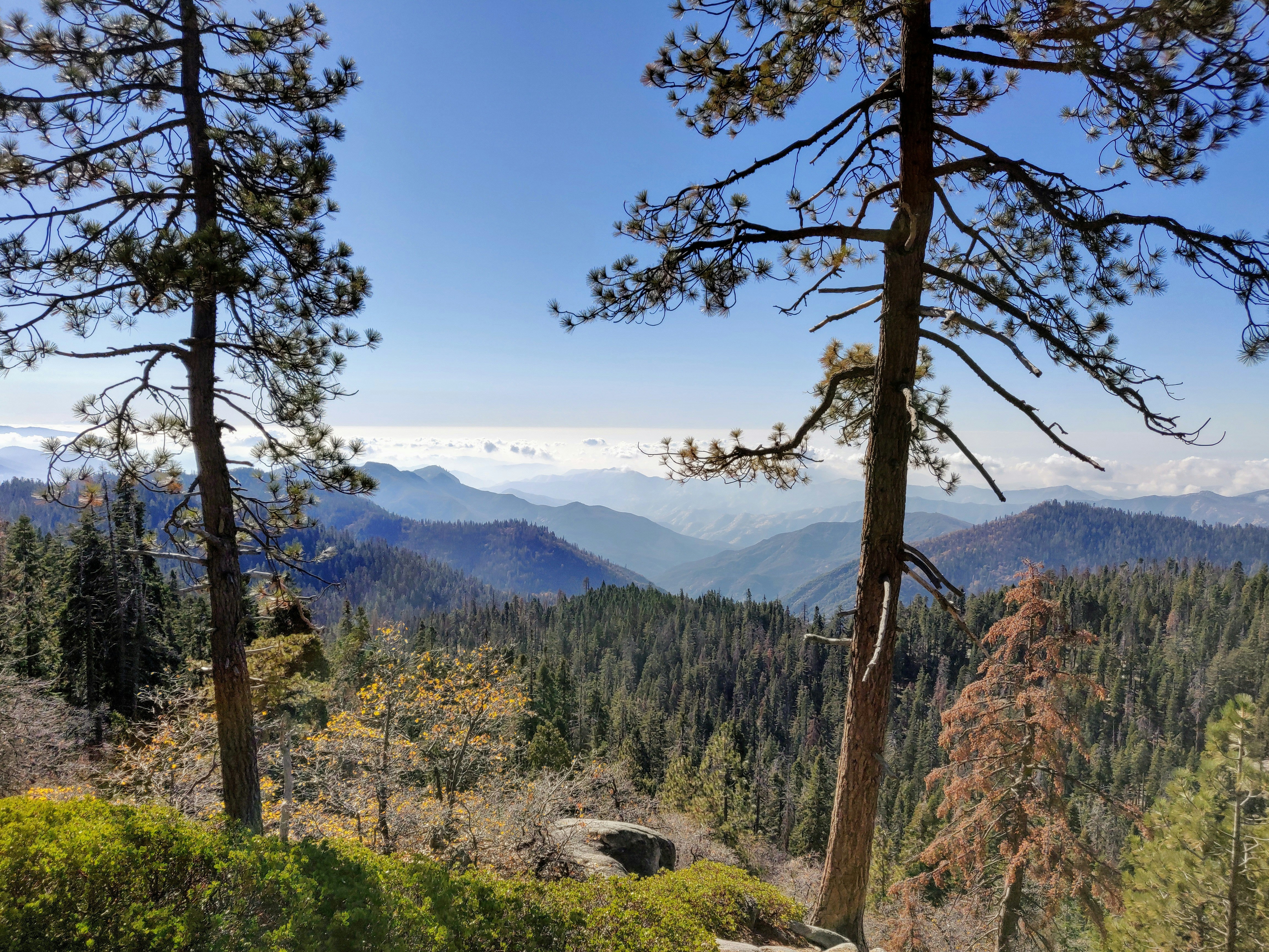 Photo by charlescerisier