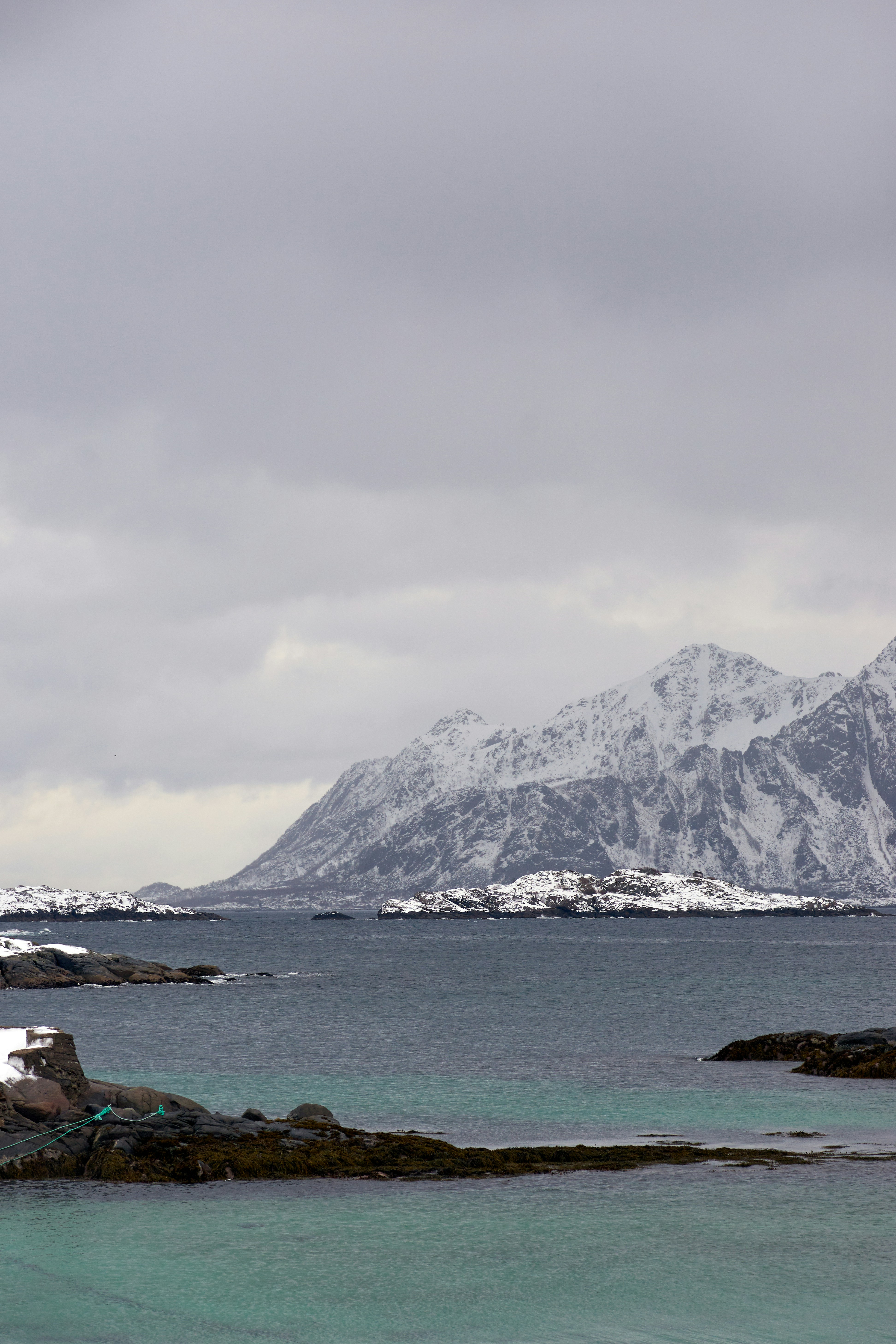 Photo by wolfgang_hasselmann