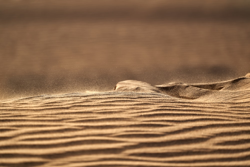 a sand dune with a small wave in the middle of it
