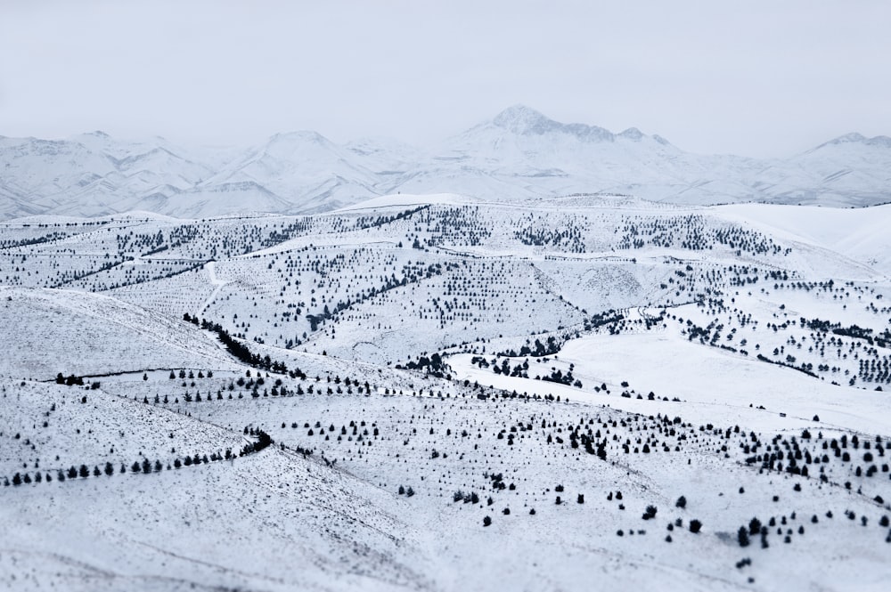 aerial photograph of mountain ranges