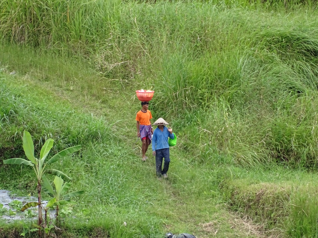 travelers stories about Nature reserve in Baturiti, Indonesia