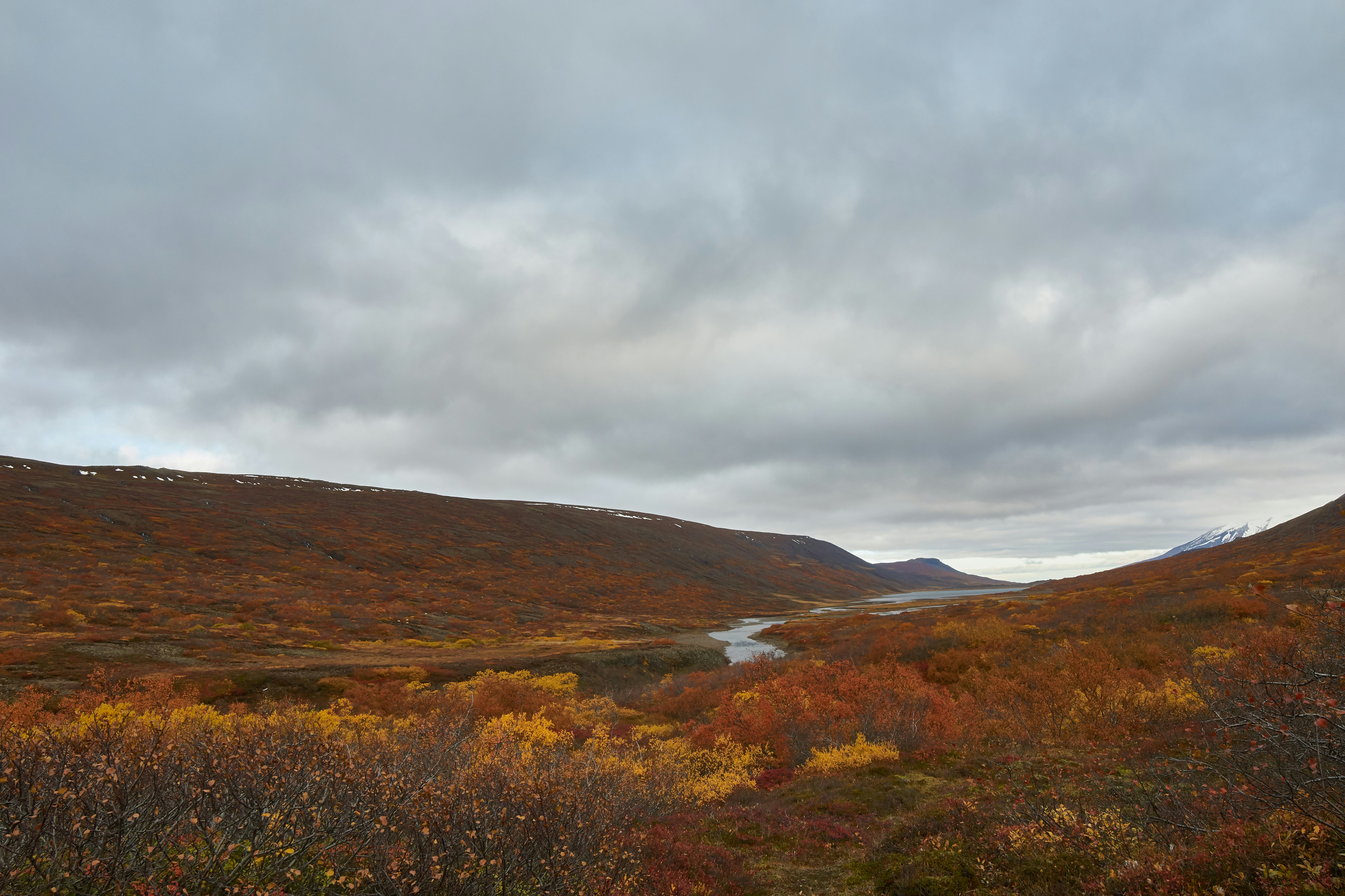 Photo by wolfgang_hasselmann