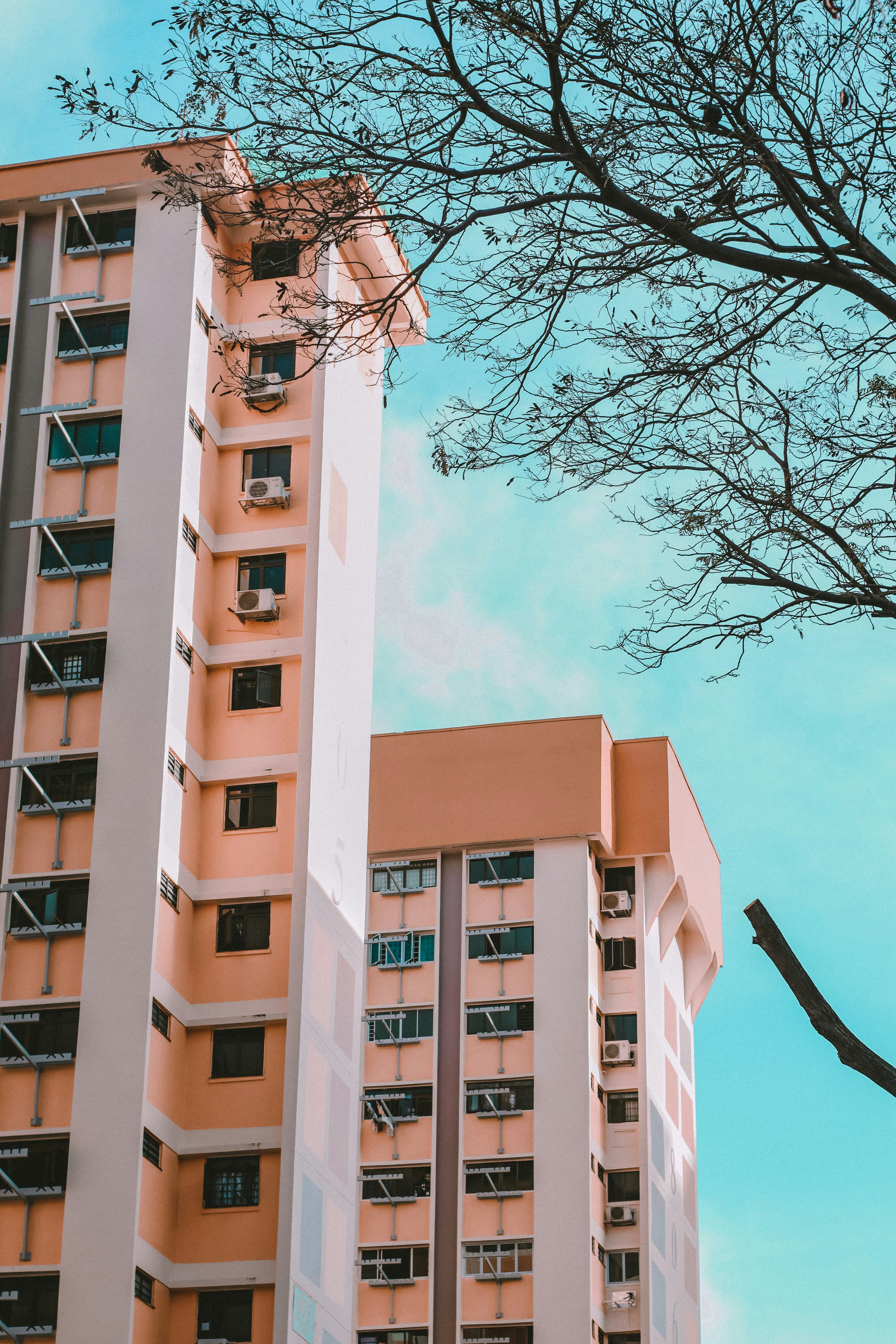 Photo by rahadiansyah