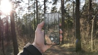 person taking photo of forest with smartphone