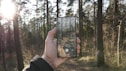 person taking photo of forest with smartphone