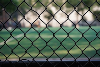 A chain-link fence is prominently featured in the foreground with a blurred view of a green sports field in the background. The field has white lines typical of a sports ground. Trees are visible, creating a natural border around the field.