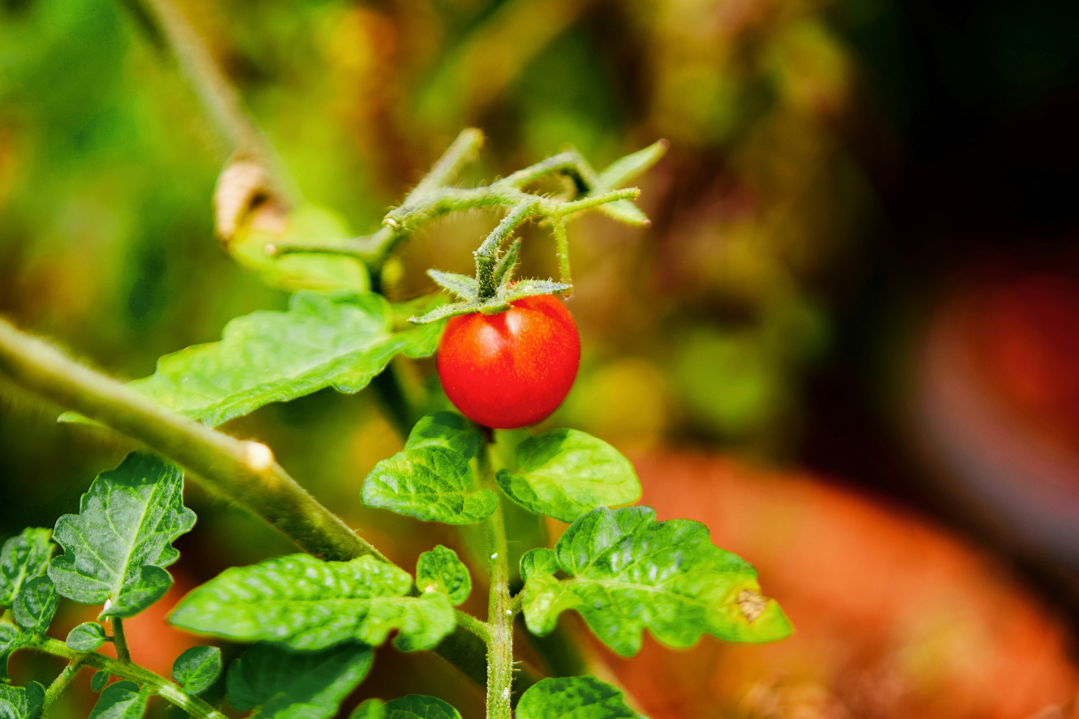 Photo by rrajputphotography