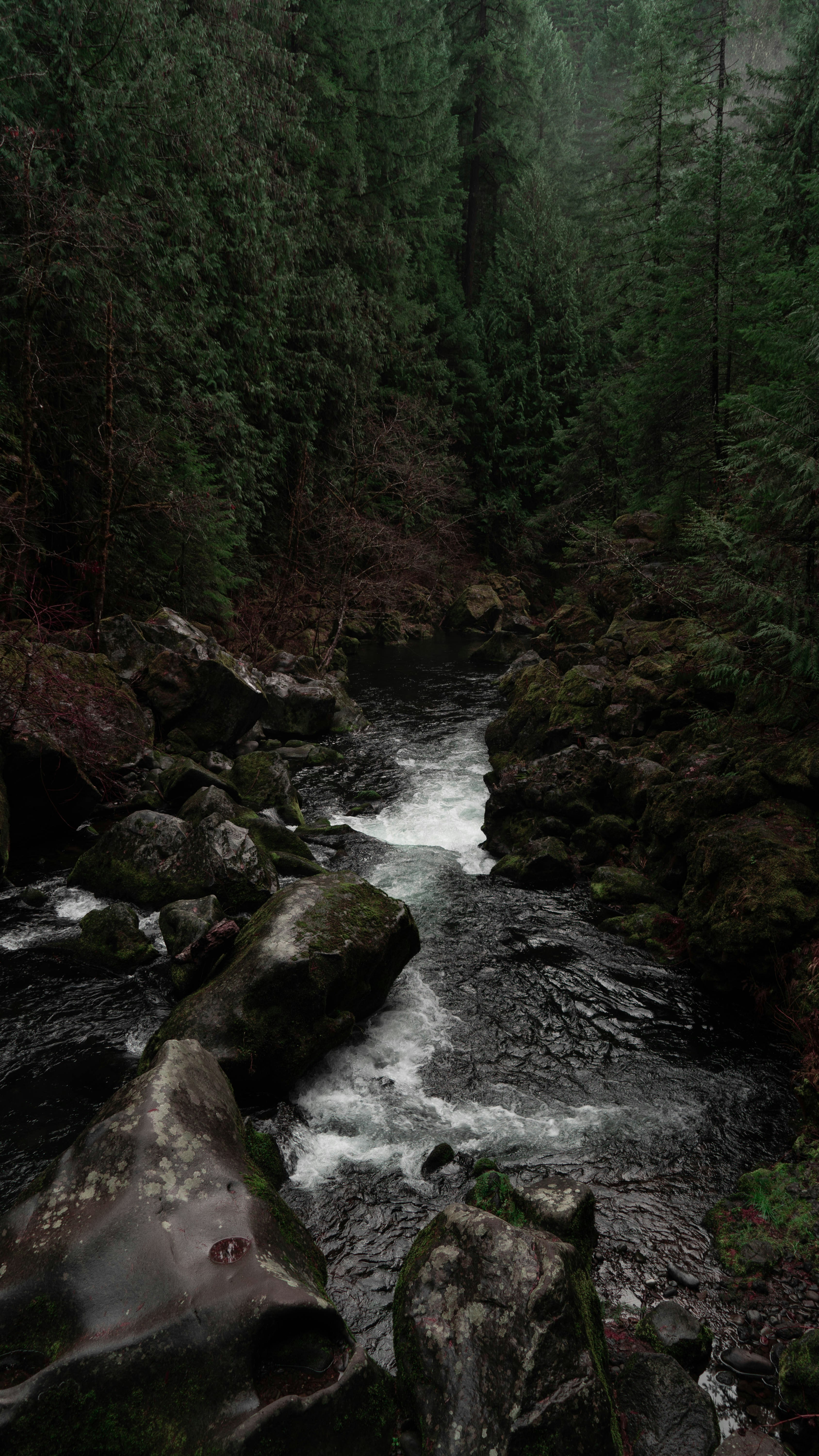 Photo by lifewithjacob