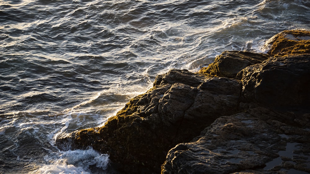 brown stone near sea