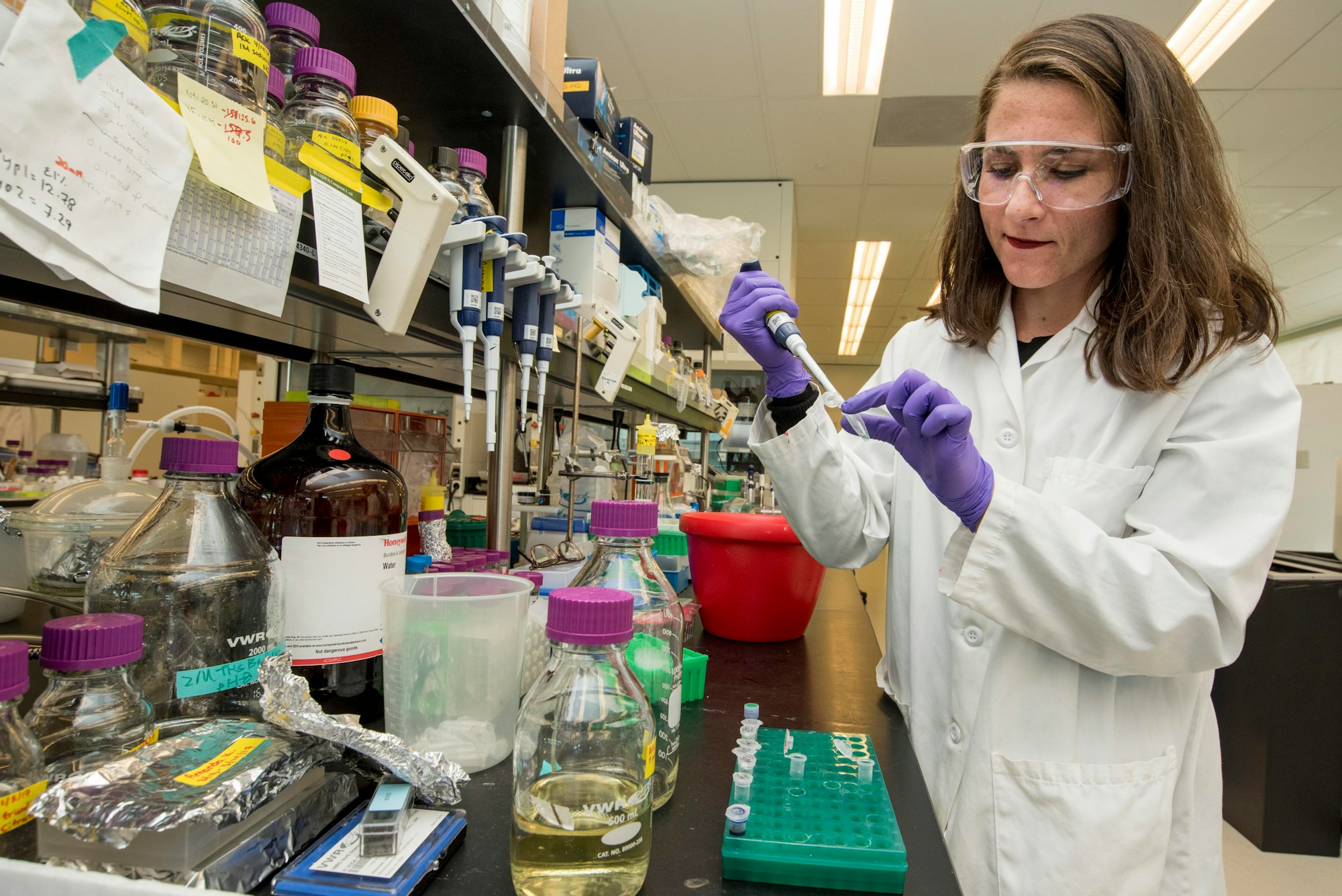 SETTING UP ENZYME REACTION AS PART OF JBEI'S ENZYME OPTIMIZATION GROUP, DECONSTRUCTION DIVISION, AT LAWRENCE BERKELEY NATIONAL LABORATORY.