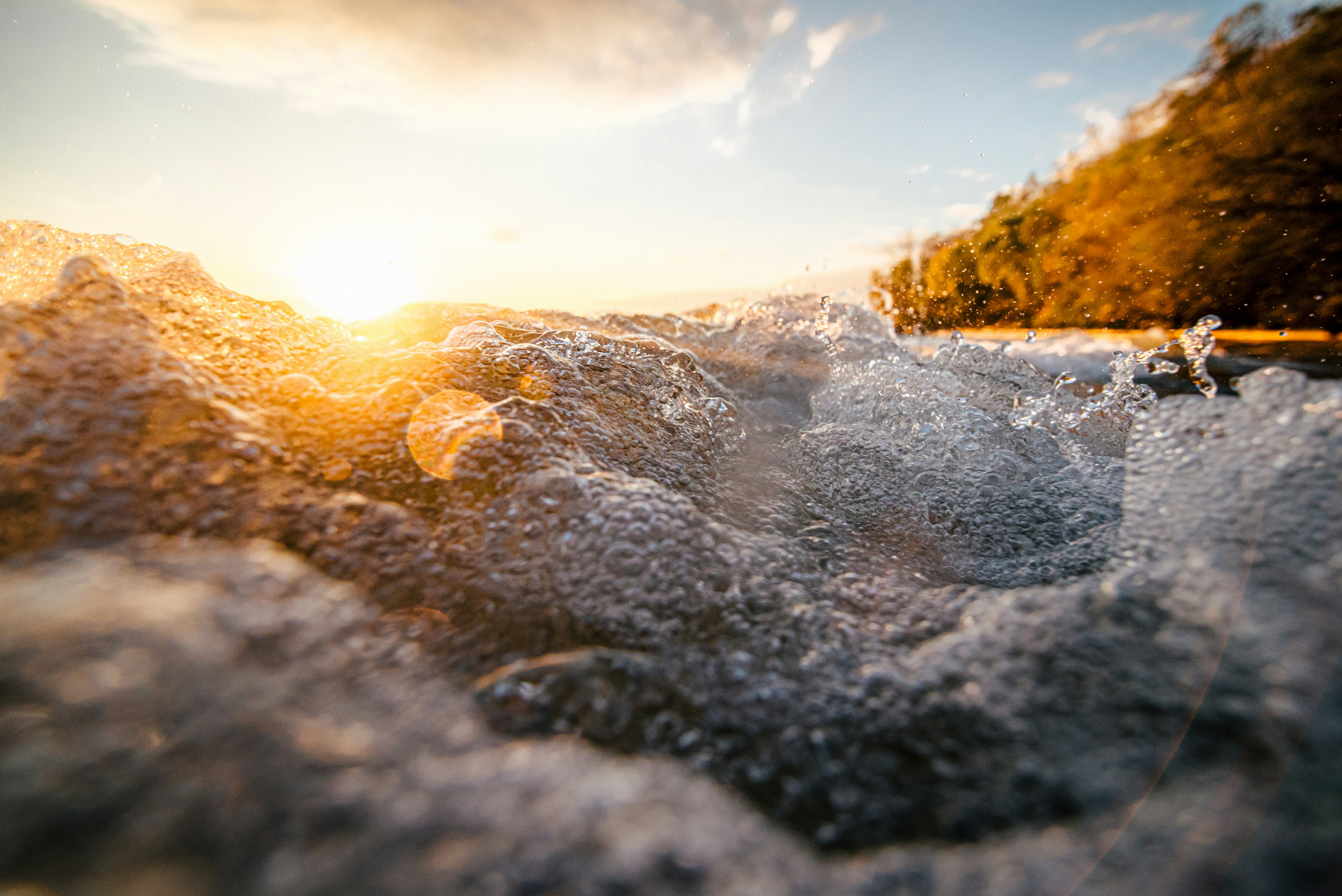 Photo by fernthephotographer