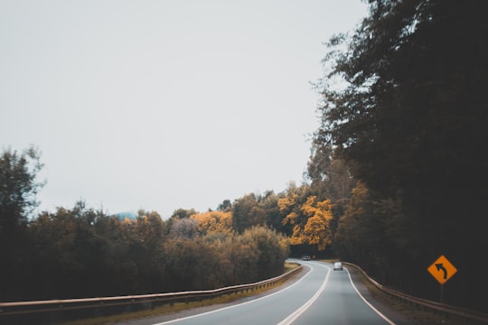 black concrete road near trees during daytime in Valdivia Chile