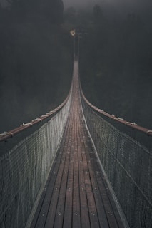 brown hanging bridge in forest