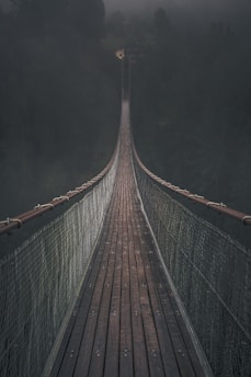brown hanging bridge in forest