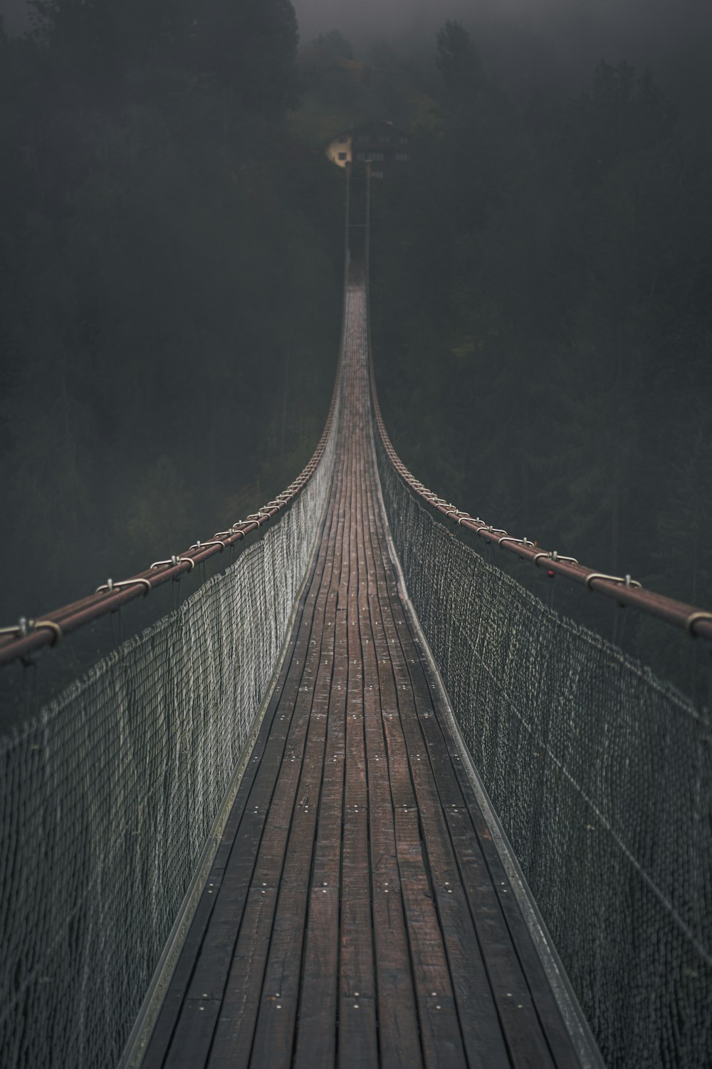 brown hanging bridge in forest