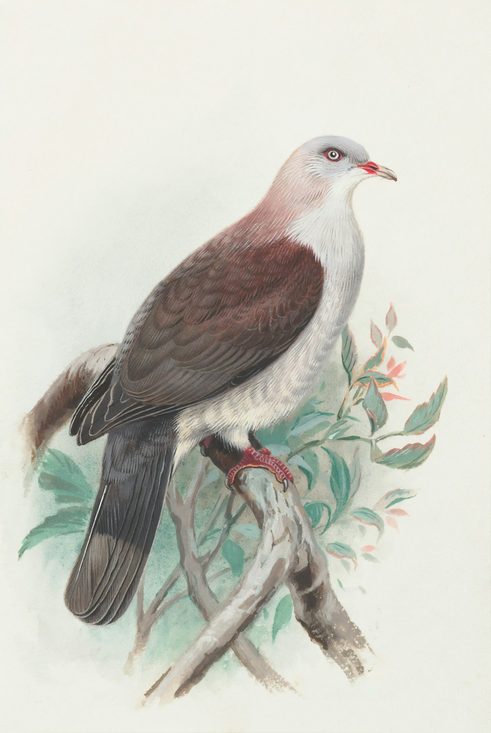 Uccello marrone e bianco sulla pittura del ramo dell'albero
