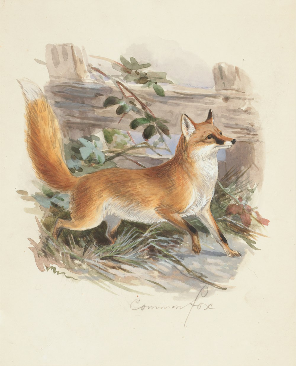 orange and white fox standing on boulder painting