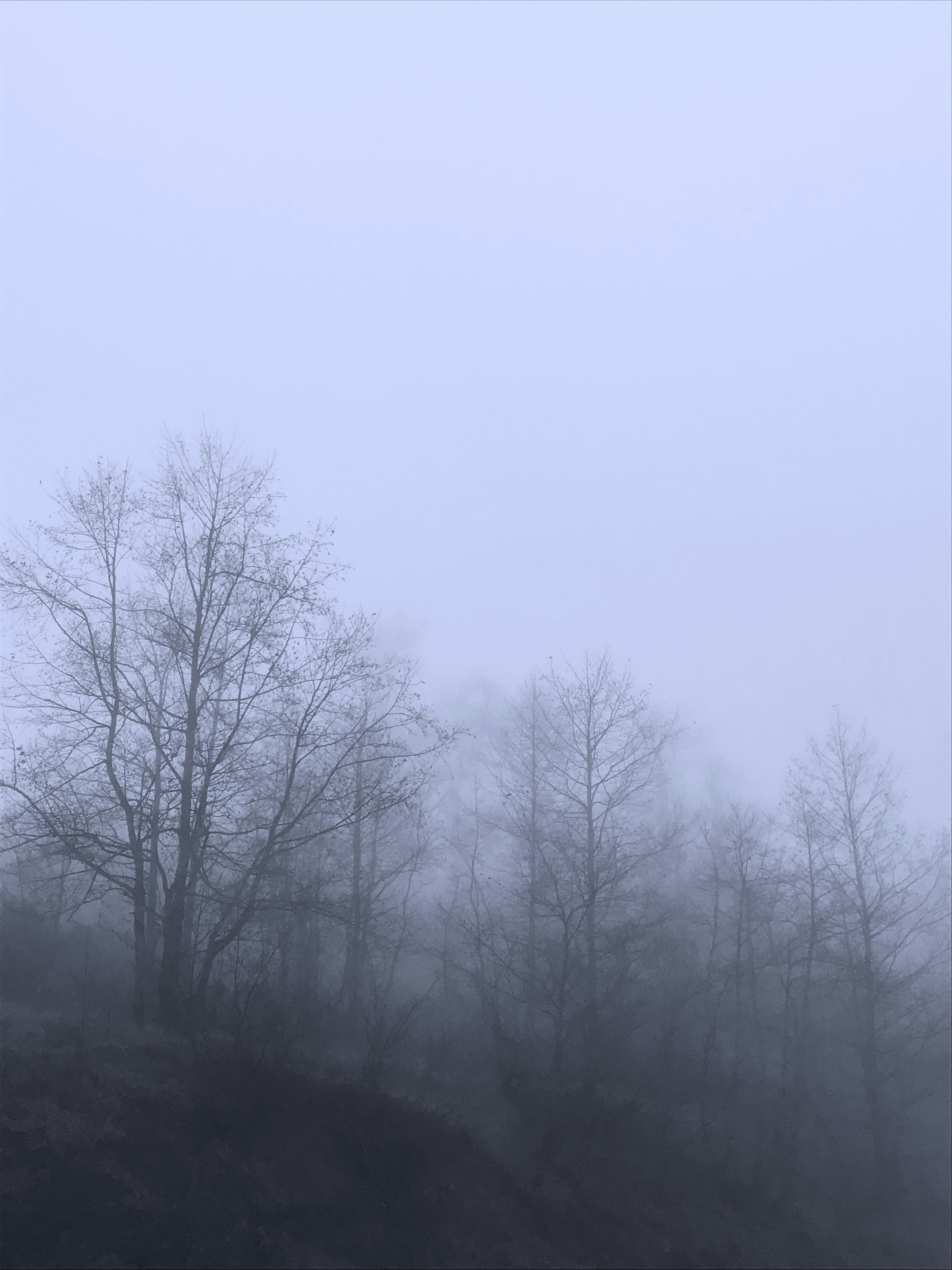 Photo by tahamousavi