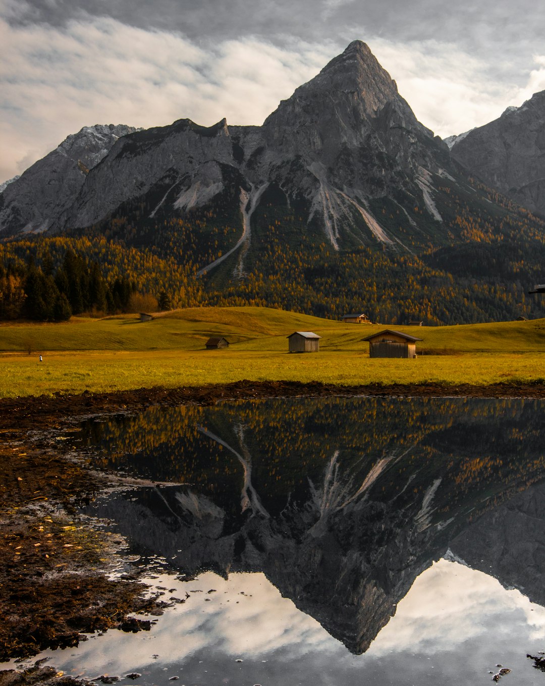 photo of Lermoos Ecoregion near Plansee