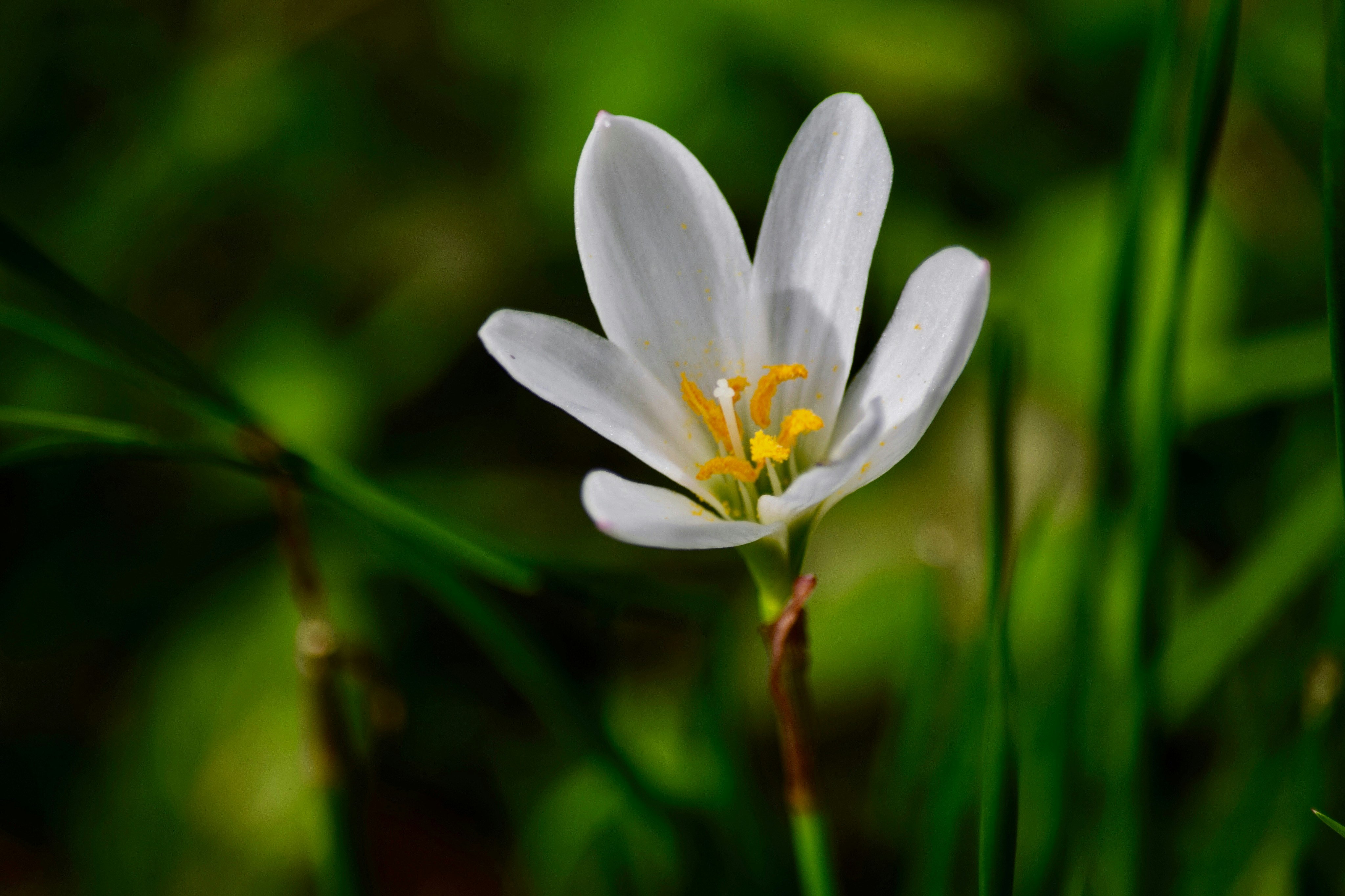 Photo by rrajputphotography