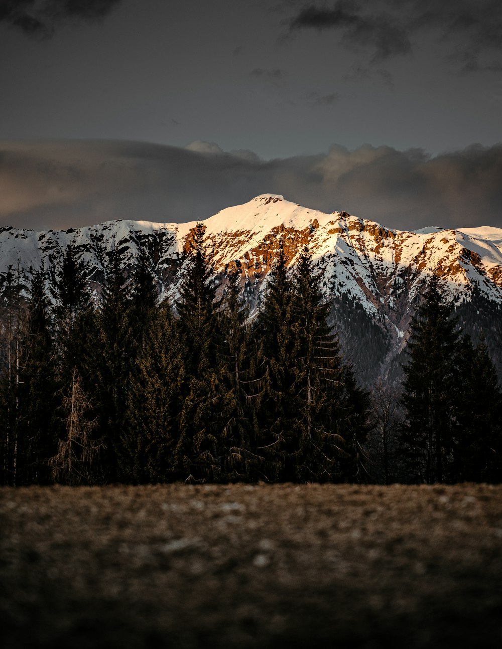 landscape photography of field viewing mountain covered with snow during daytime