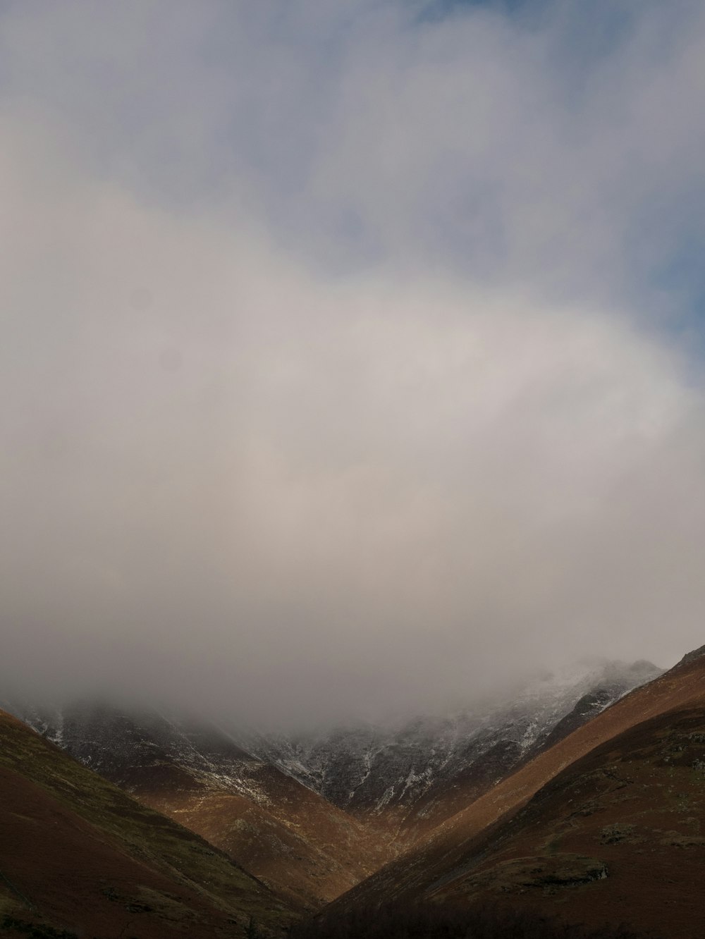 hill covered with mist