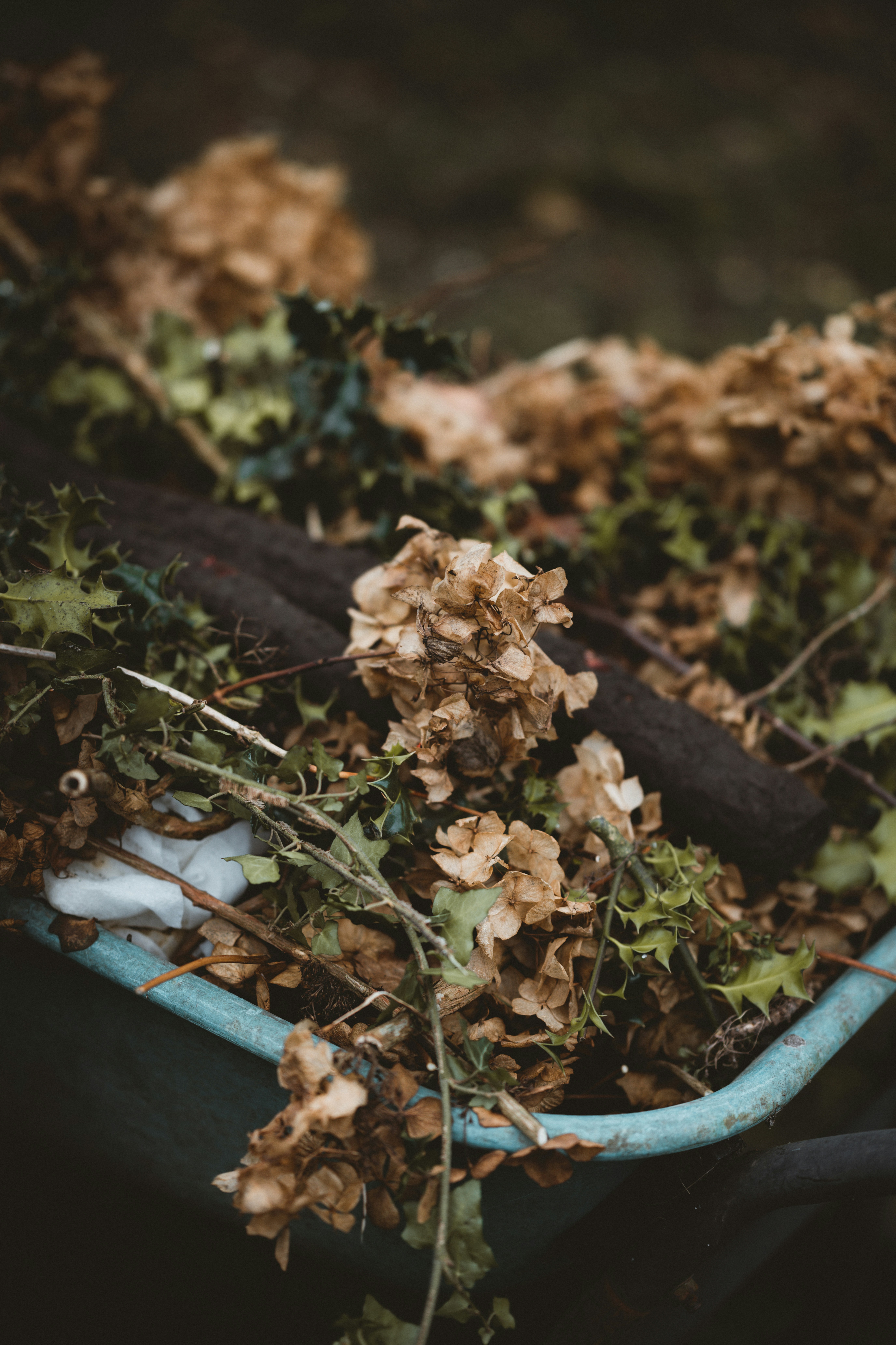 Photo by anniespratt