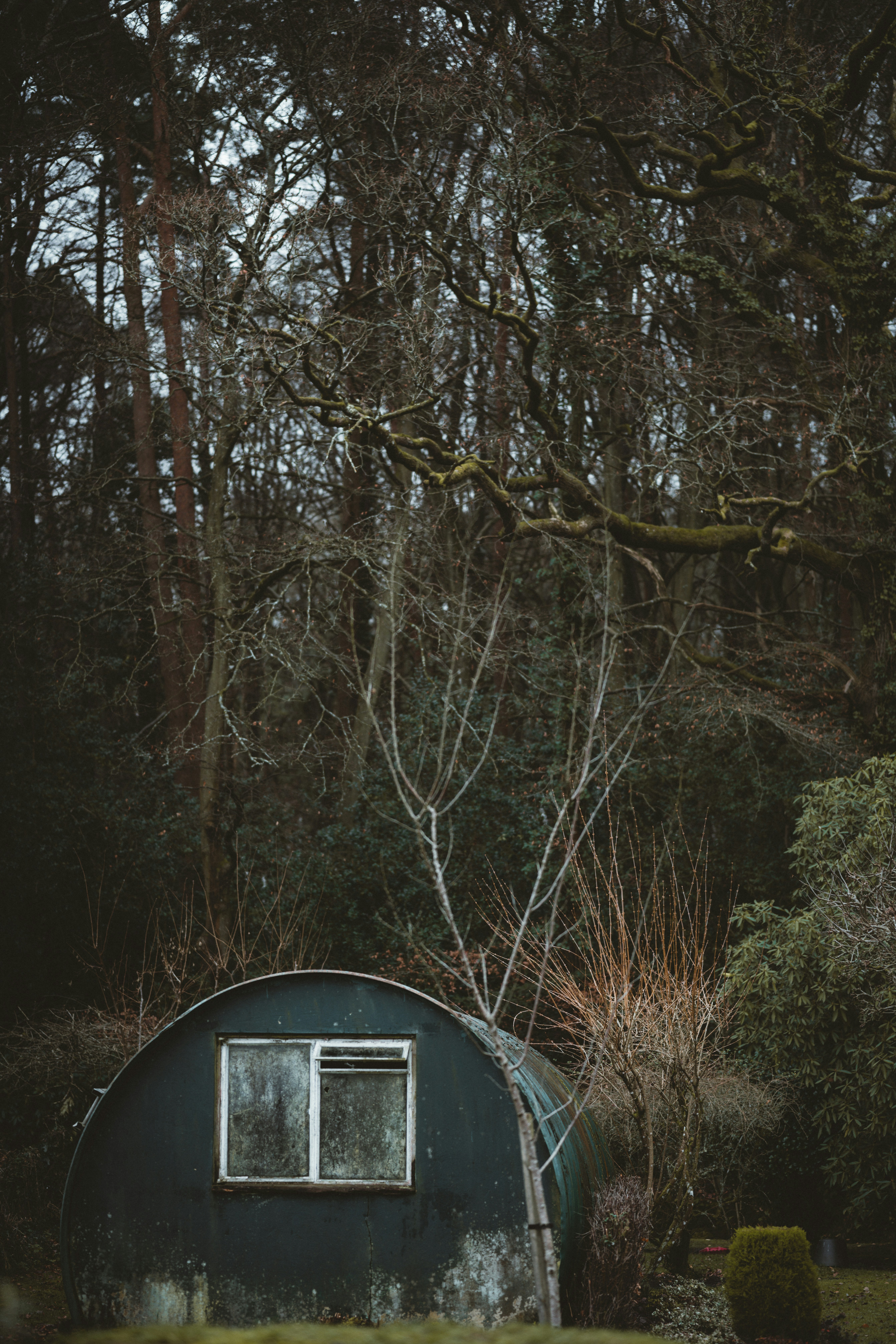 森の小屋の写真 Unsplashで見つけるグレーの無料写真