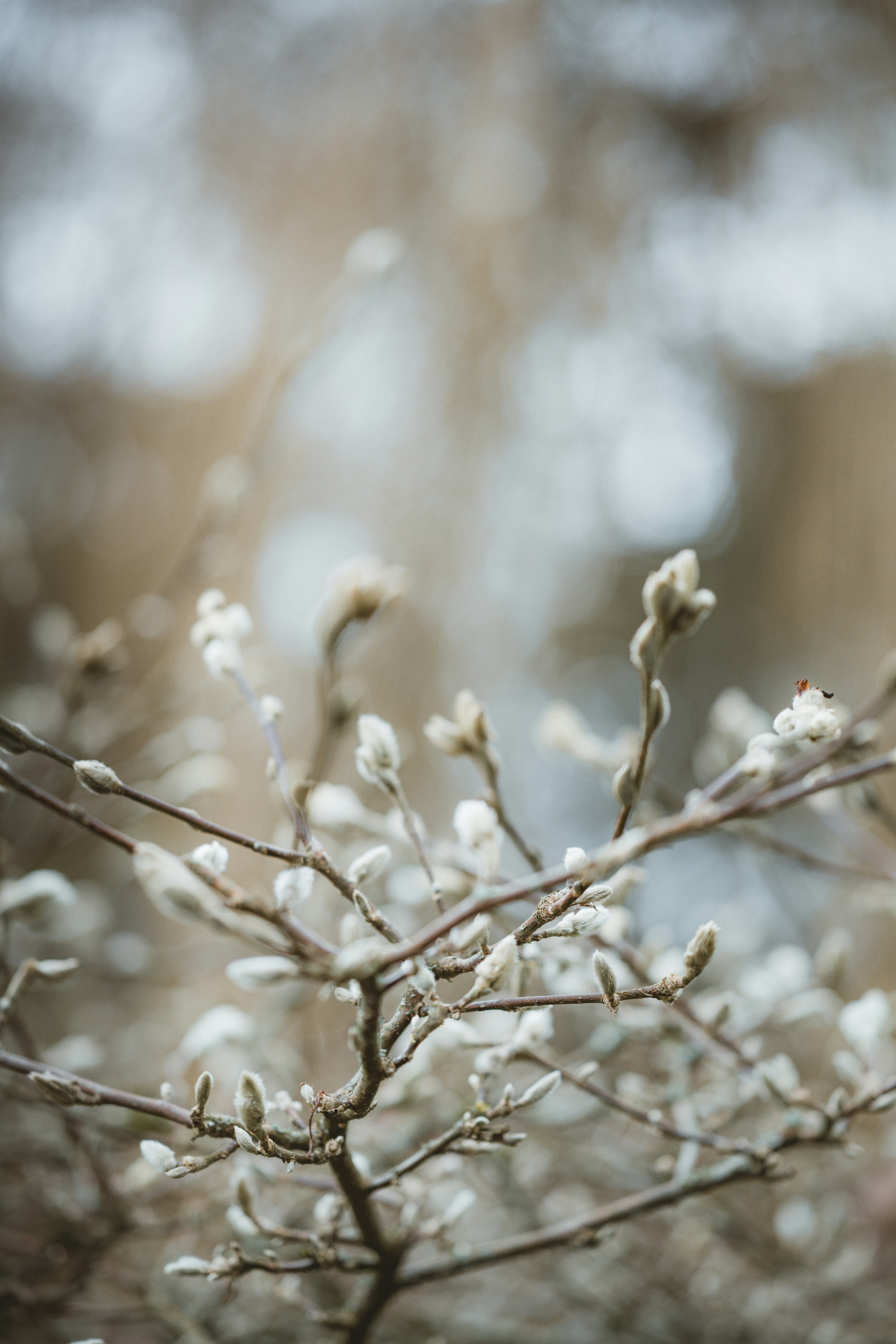 Photo by anniespratt