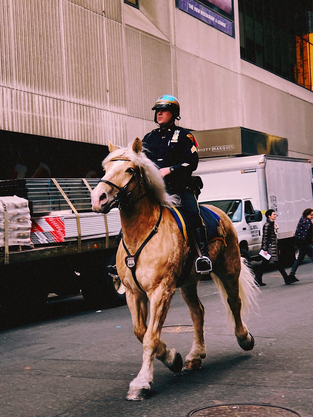 man riding brown horse on street