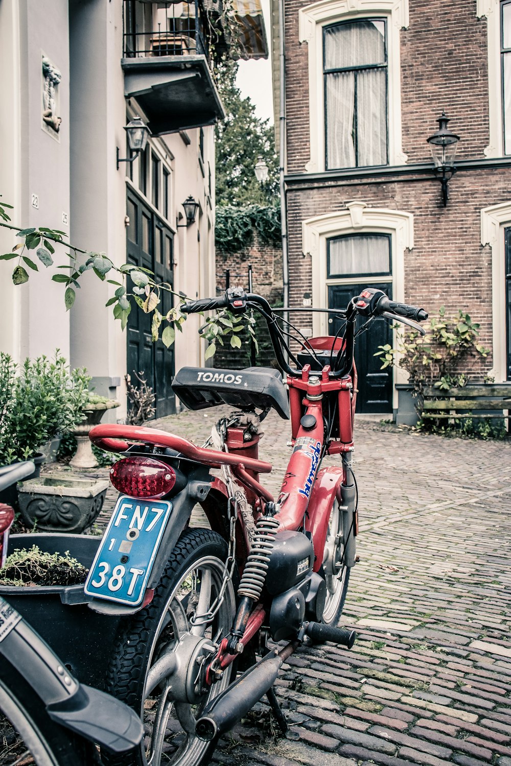 red motorcycle parking near green leaf plants