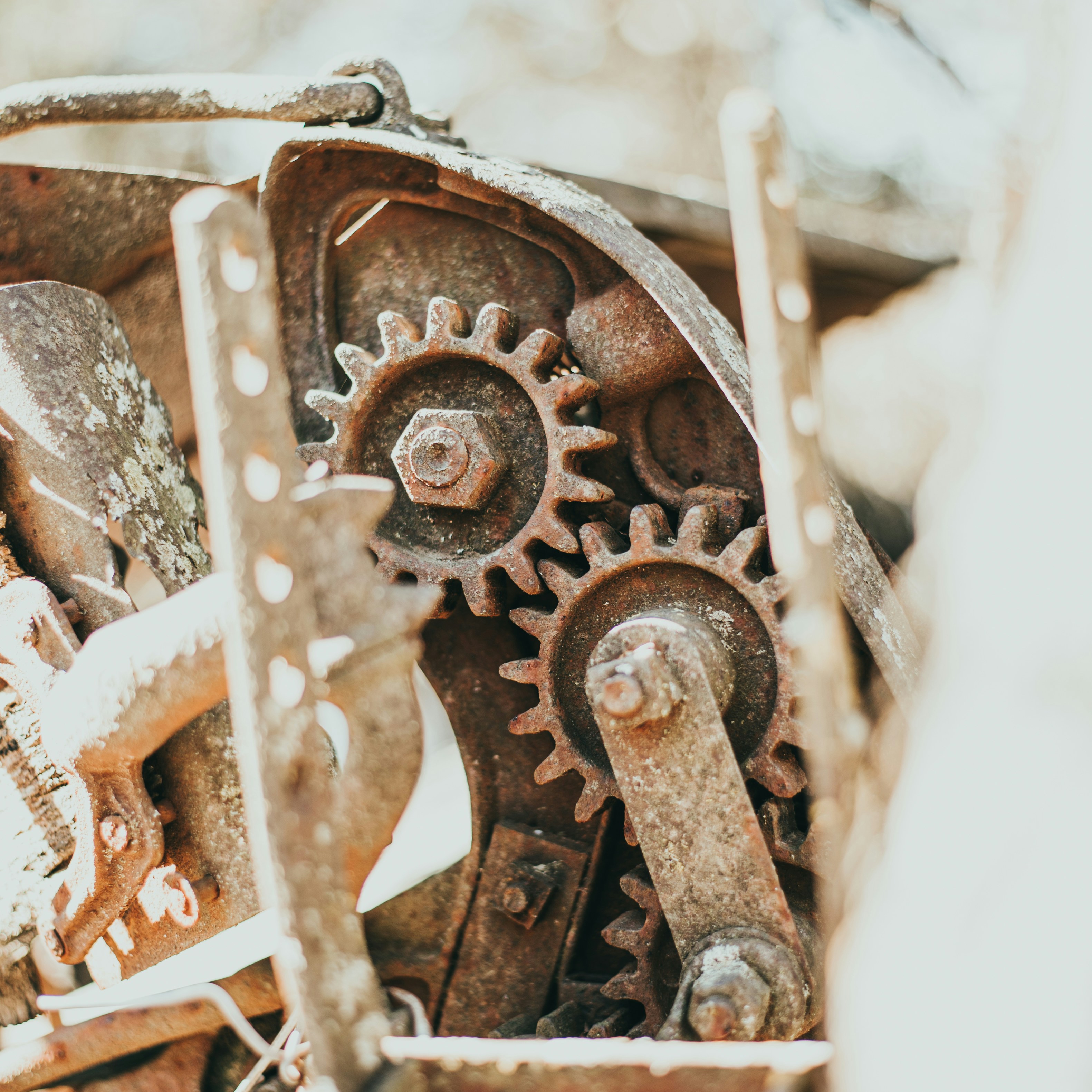 Photo by coltonsturgeon