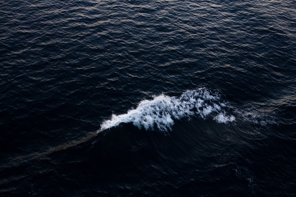 sea waves at daytime