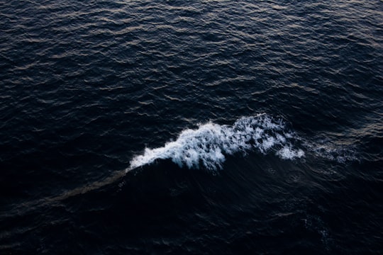 photo of Kochi Ocean near Cherai Beach