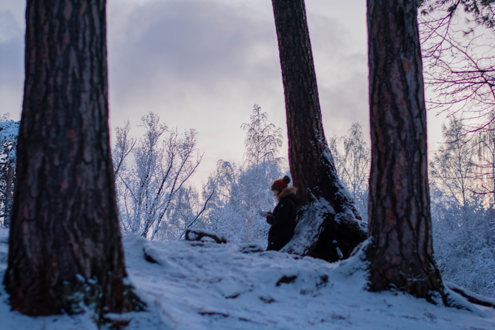 snow covered trees during daytime