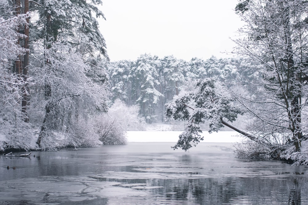 river by snow covered trees under white skies