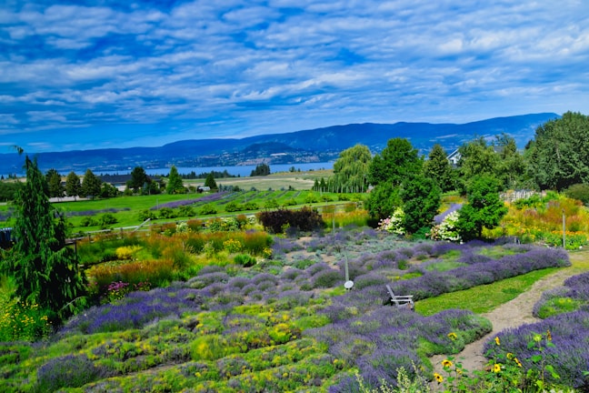A scenic landscape of Aix-en-Provence highlighting its natural beauty.