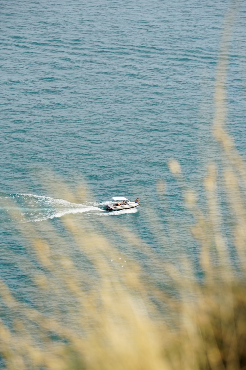top view of boat in sea