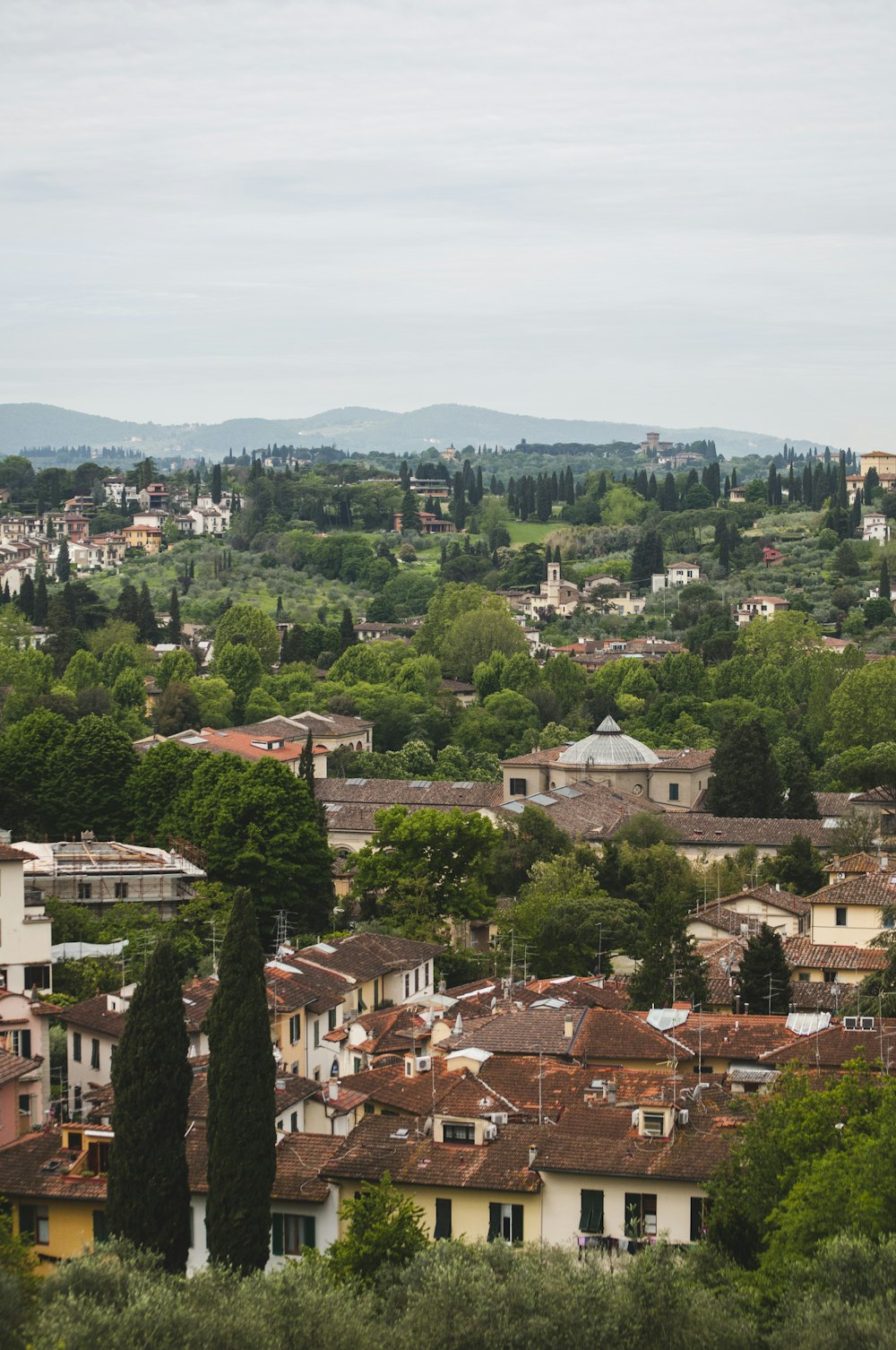 a view of a city with lots of trees