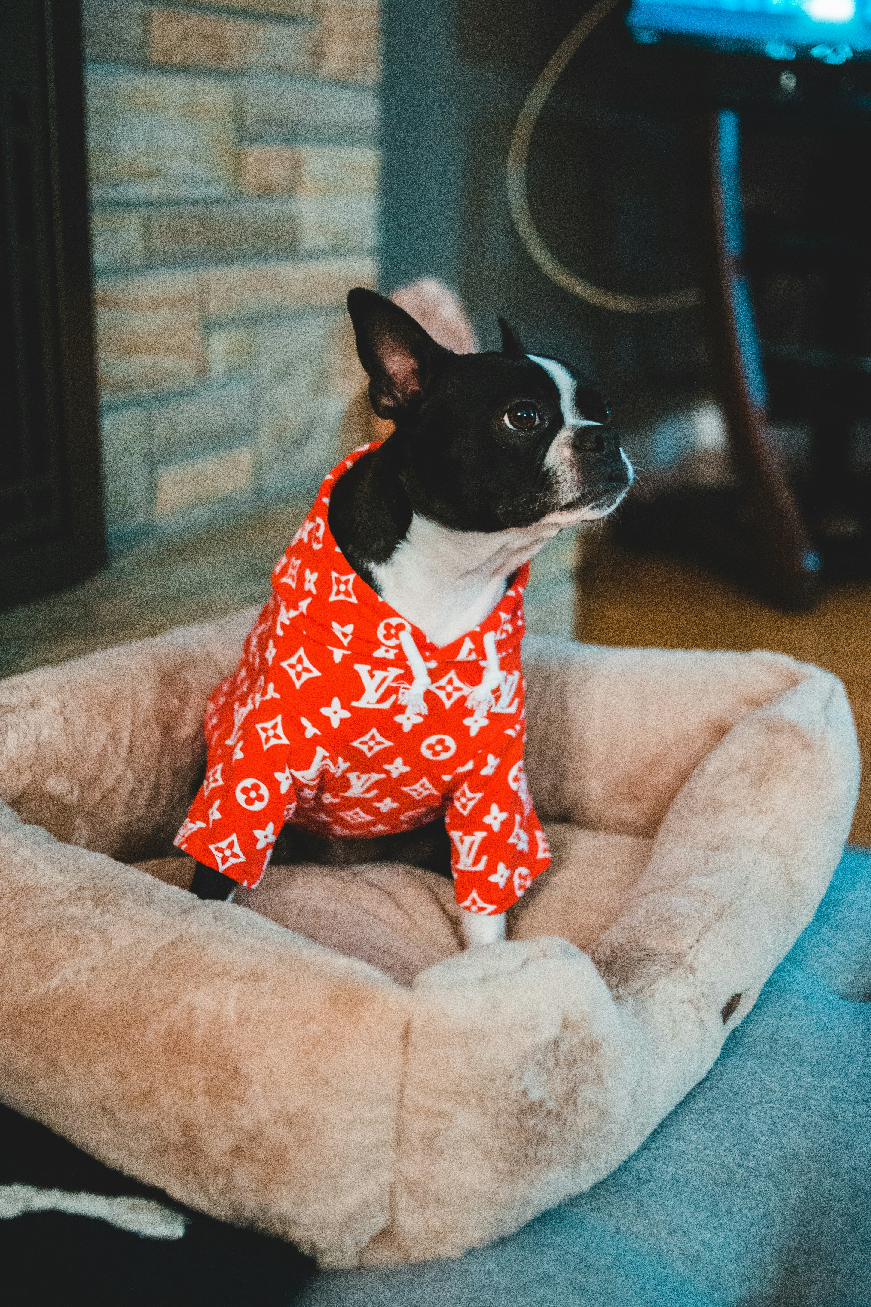 Dogs vs AI Tee