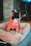 A small black and white dog sits in a plush, light brown pet bed. The dog is wearing a red designer hoodie with white patterns and logos. The background includes a brick wall and a part of a room, possibly a living area with a television.