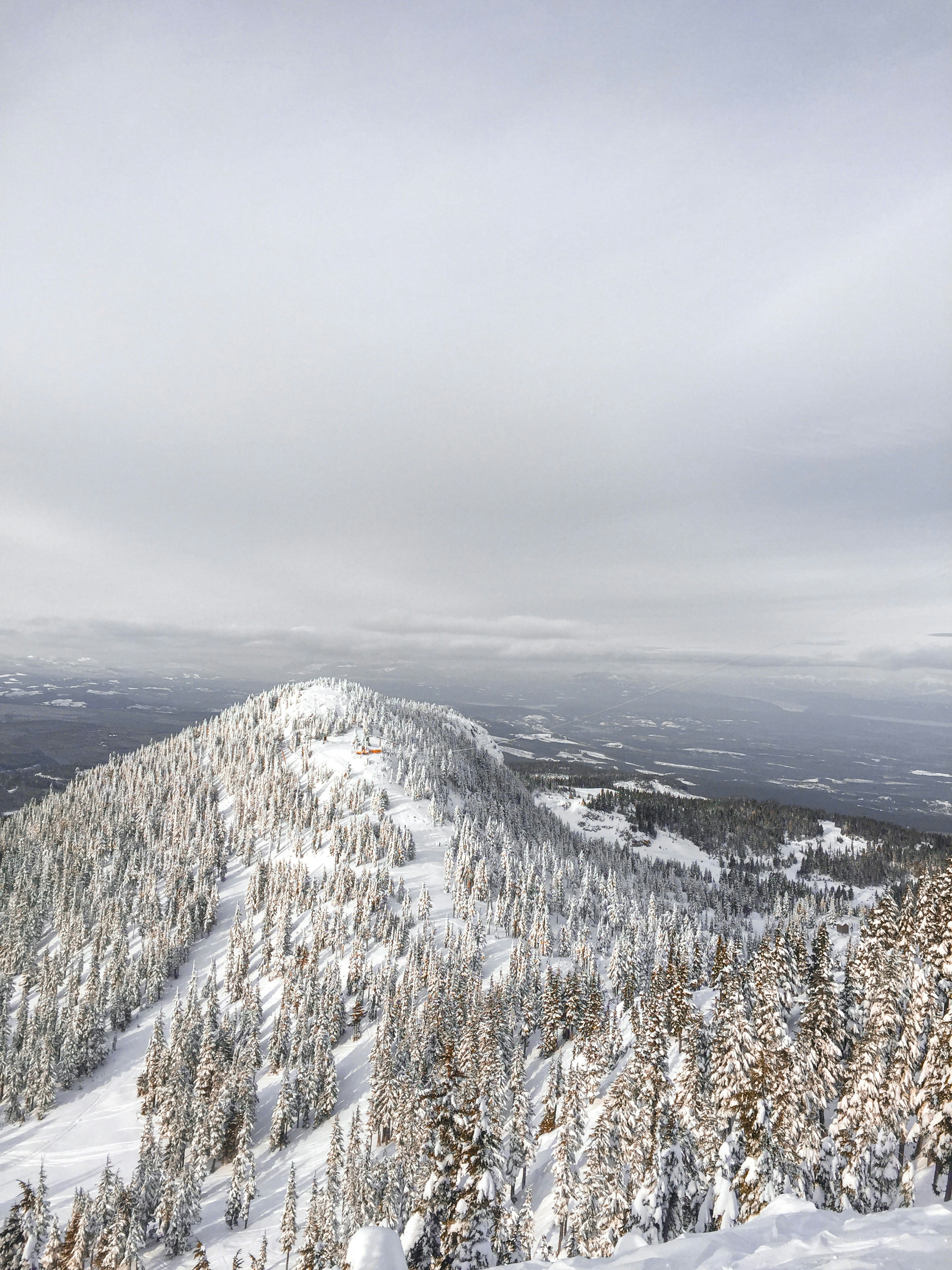 Photo by colefreeman