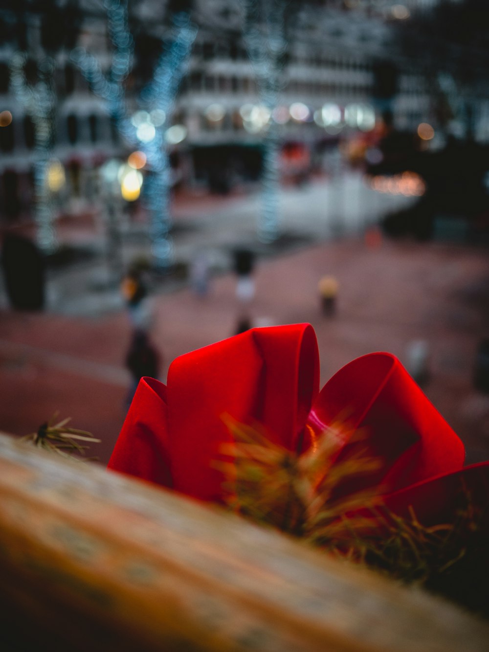 red petaled flower