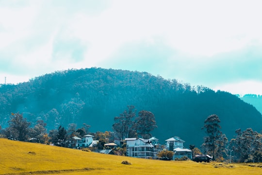 landscape photography of houses in the mountain during daytime in Diyathalawa Sri Lanka