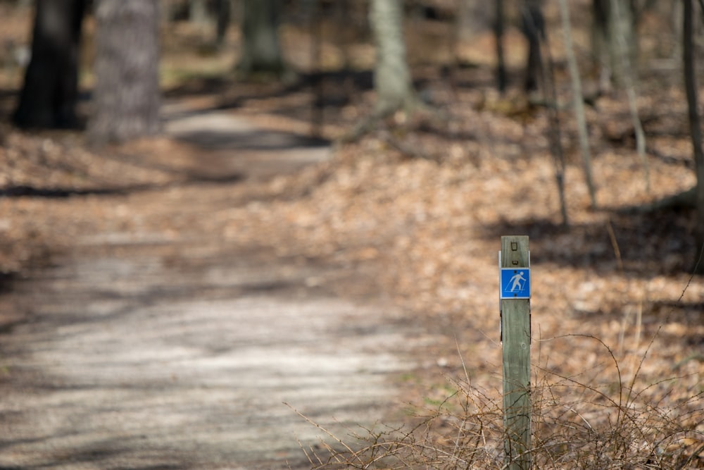 selective focus photography of wooden panel with signage near trees at daytime