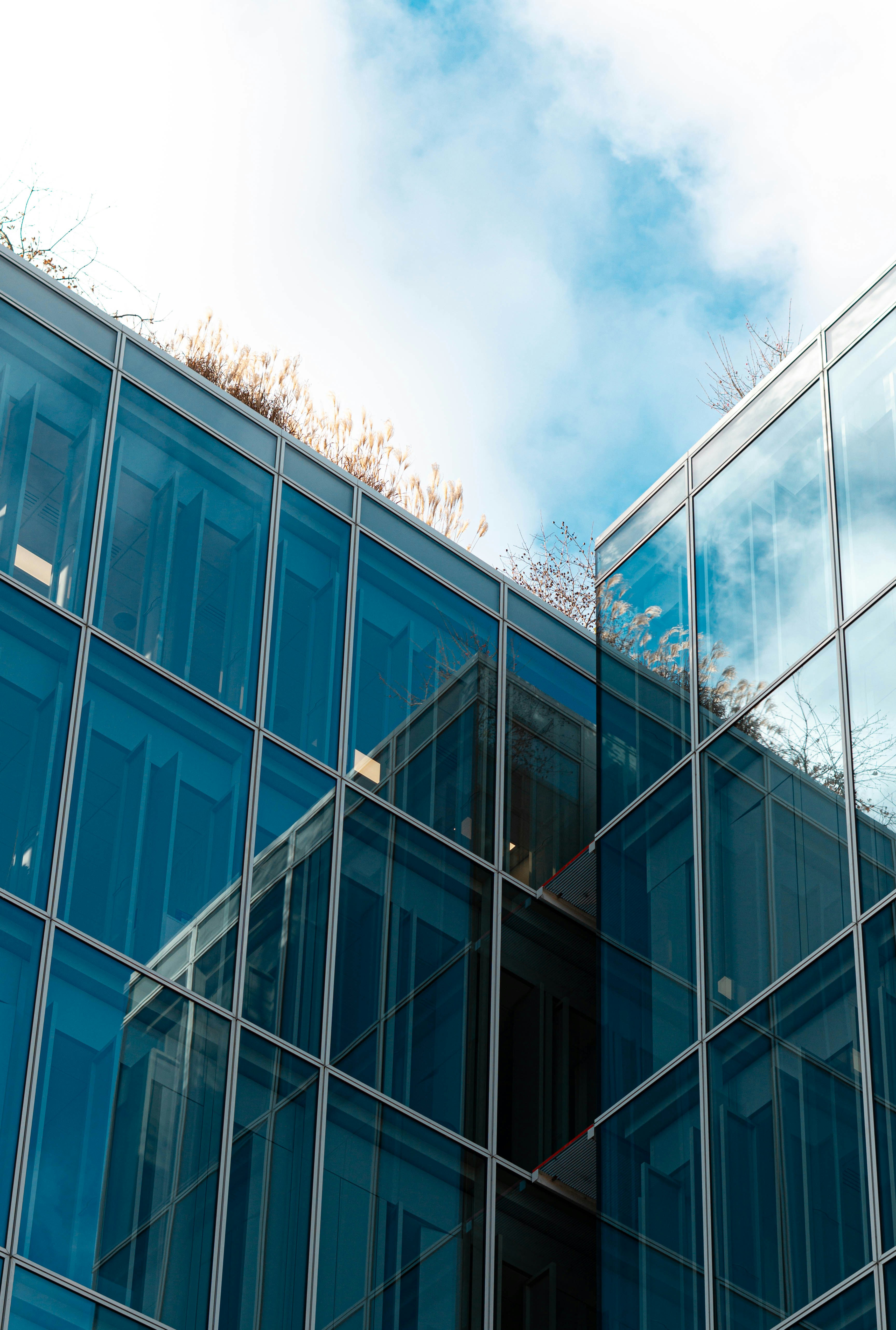 Photo by guillaume_t