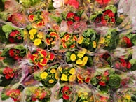 A vibrant display of colorful flowers wrapped in transparent plastic. The flowers are mainly red and yellow, surrounded by lush green leaves. The wrapping is adorned with small pink star patterns, adding a festive touch.