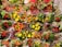A vibrant display of colorful flowers wrapped in transparent plastic. The flowers are mainly red and yellow, surrounded by lush green leaves. The wrapping is adorned with small pink star patterns, adding a festive touch.